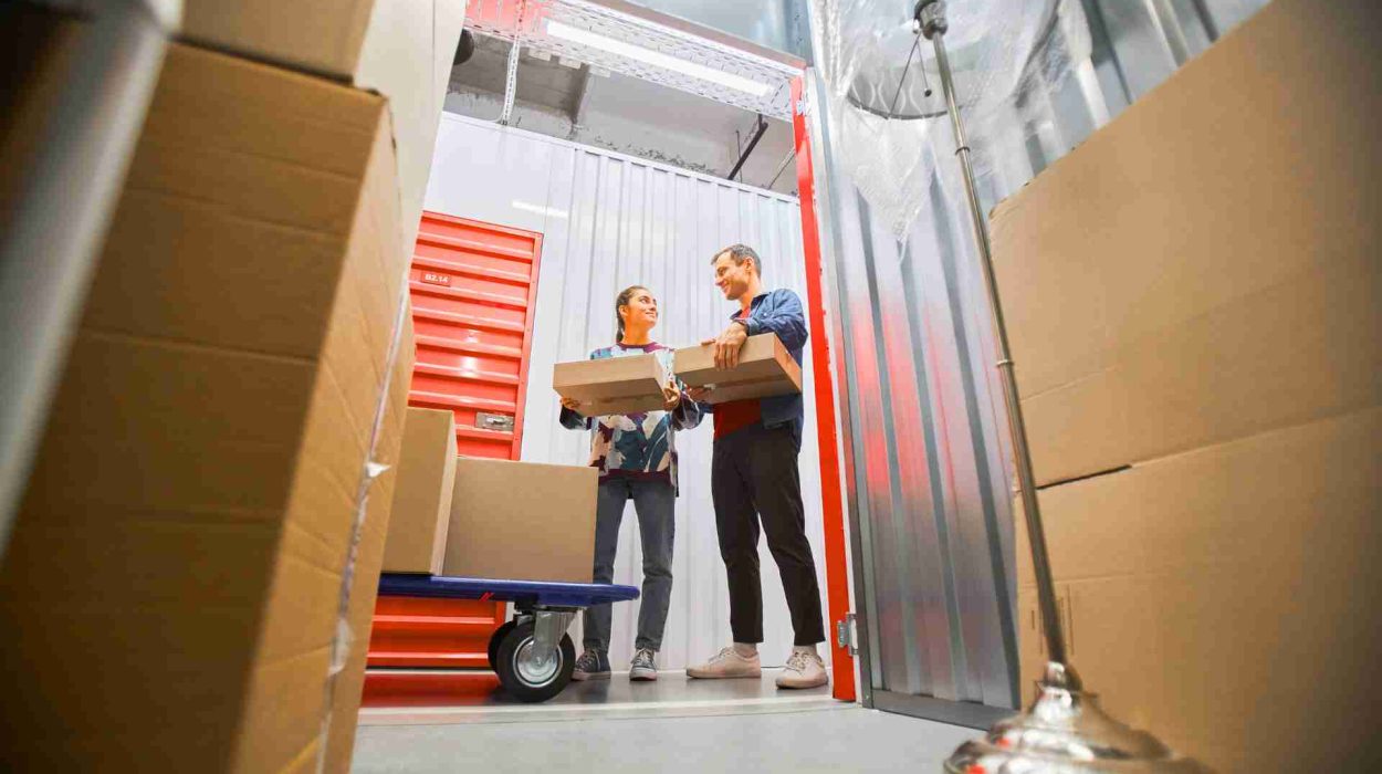 ce pot depozita boxa self storage