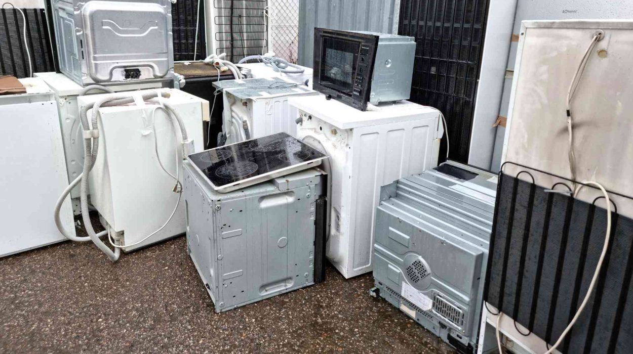 depozitare electrocasnice