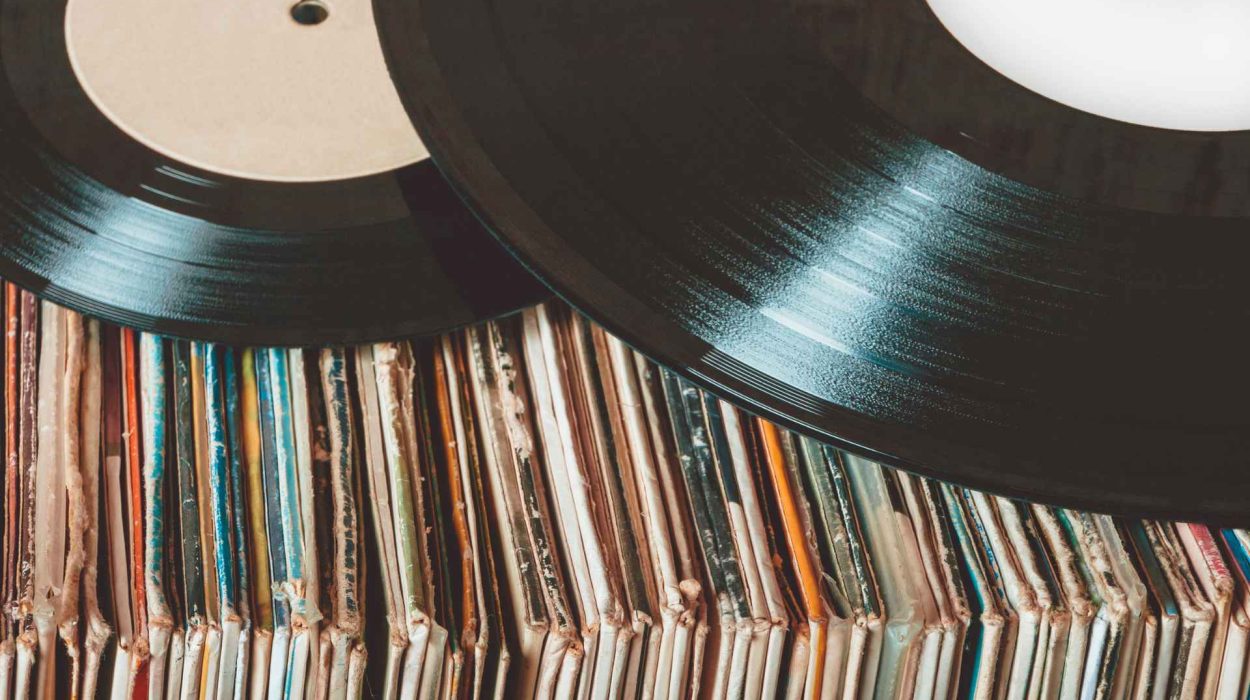 depozitare viniluri colectie